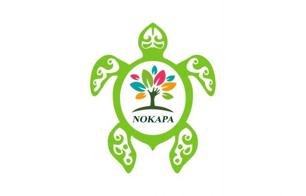 Voluntariado Nokapa